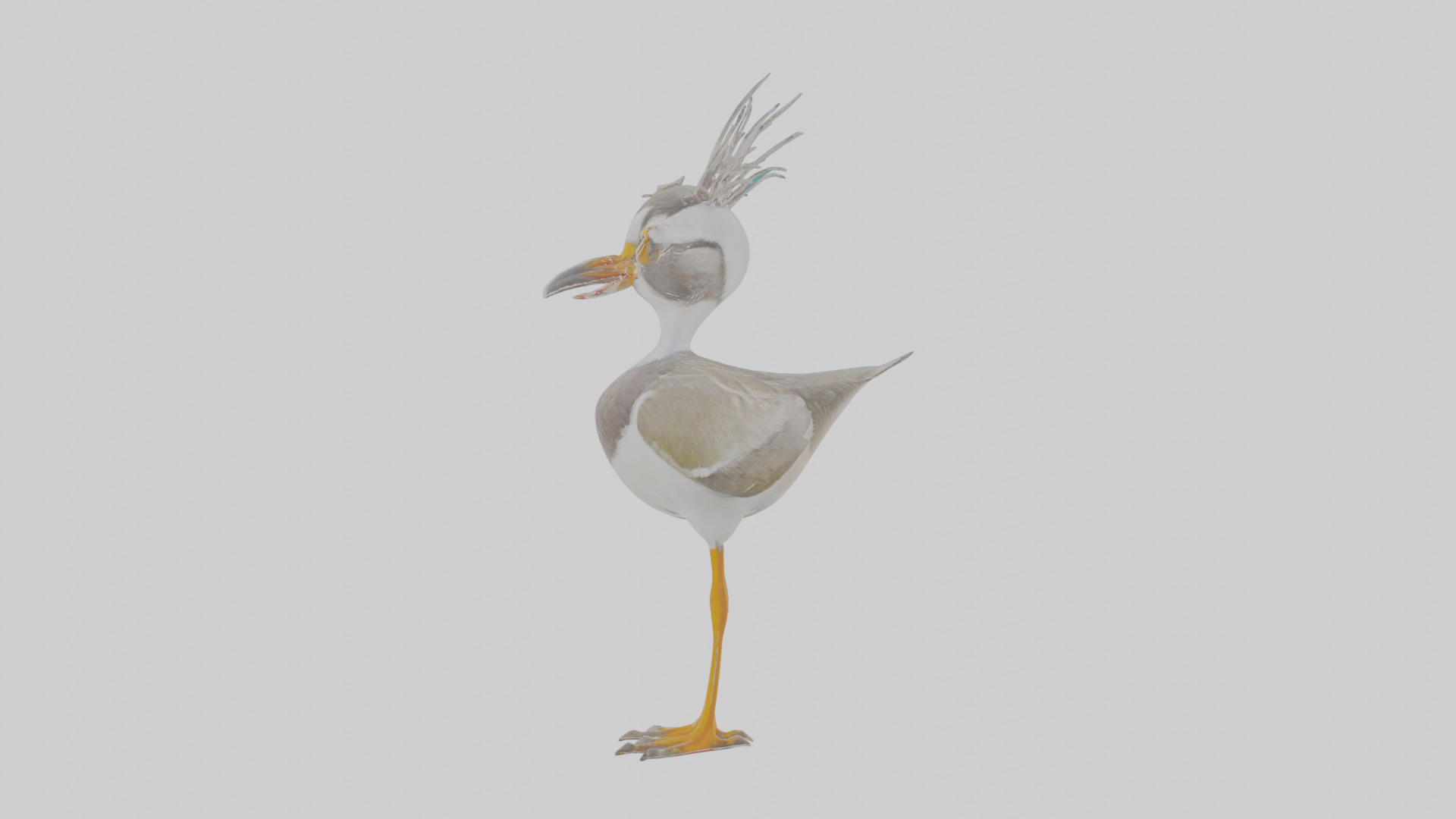 Cartoon Lapwing Low-poly 3D model_18
