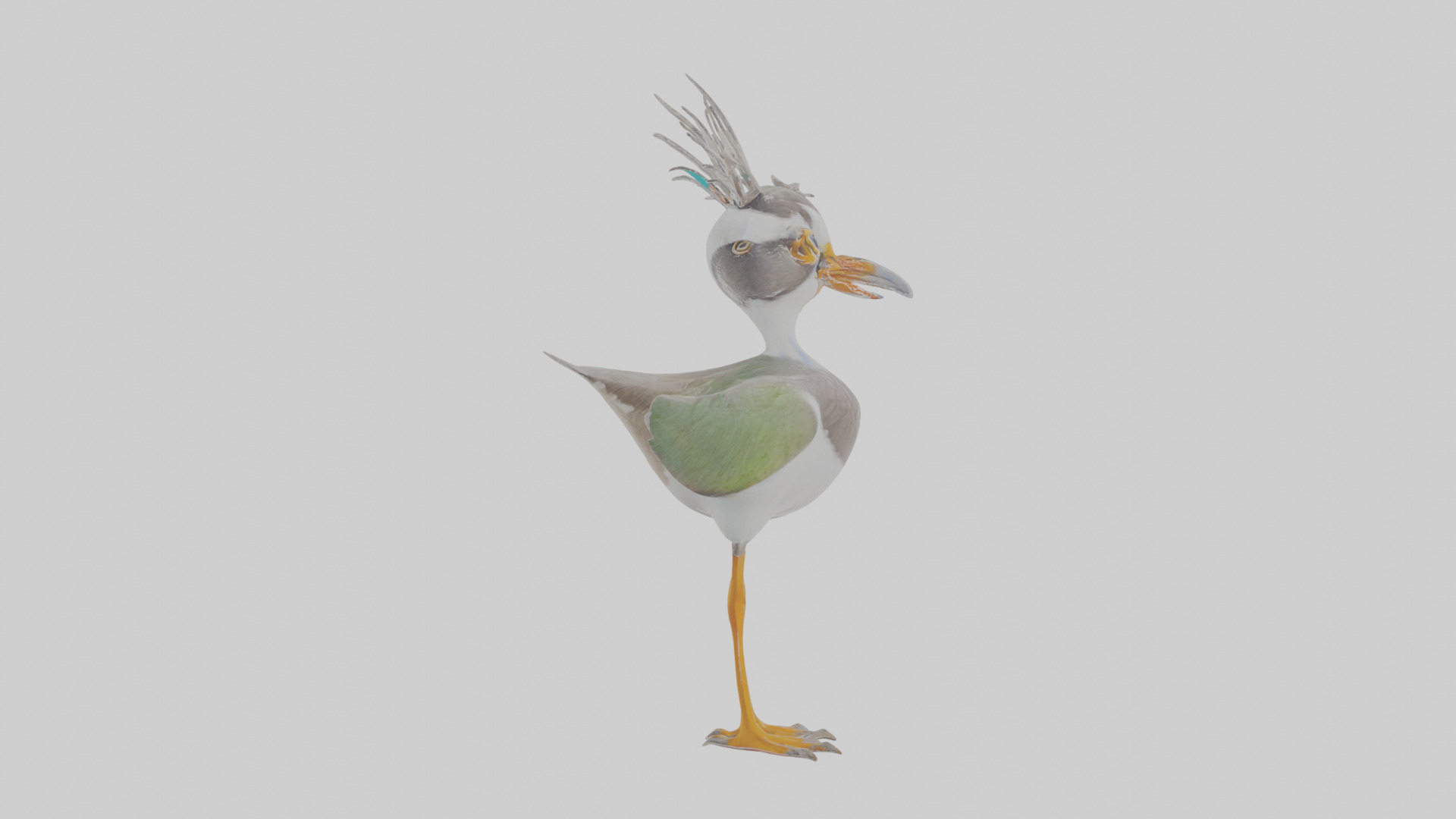 Cartoon Lapwing Low-poly 3D model_21