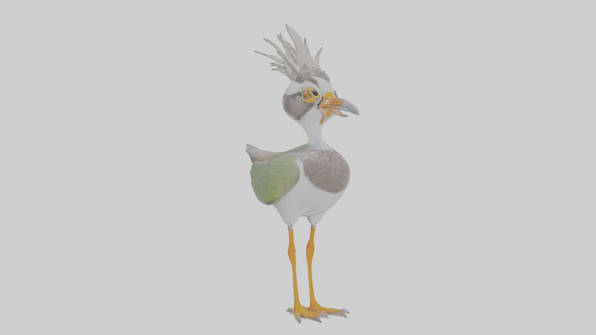 Cartoon Lapwing Low-poly 3D model_17