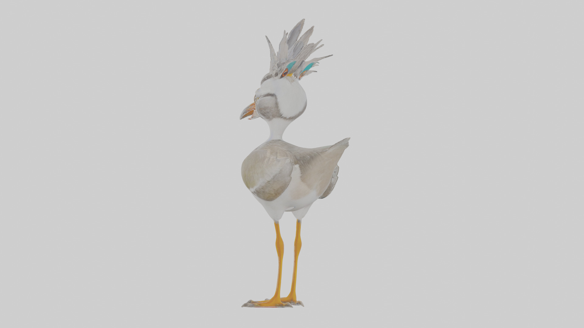 Cartoon Lapwing Low-poly 3D model_1