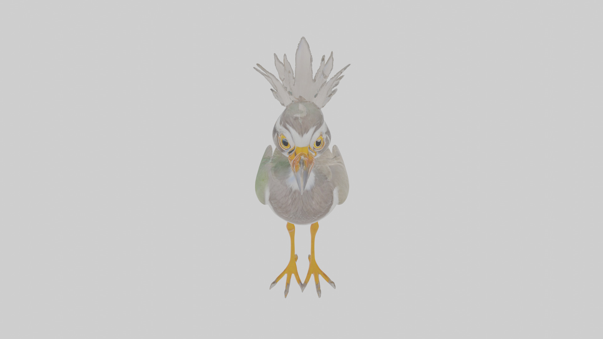 Cartoon Lapwing Low-poly 3D model_25