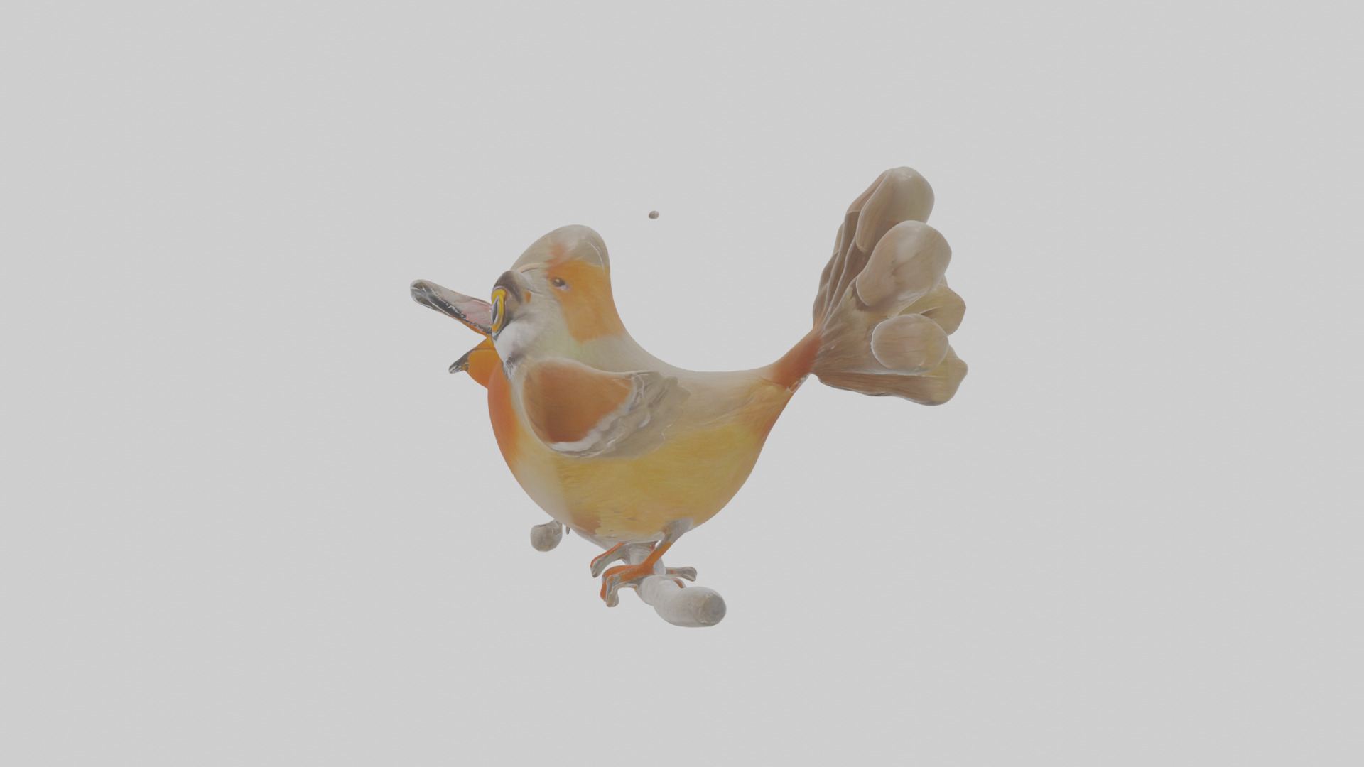 Cartoon Laughingthrush Low-poly 3D model_18