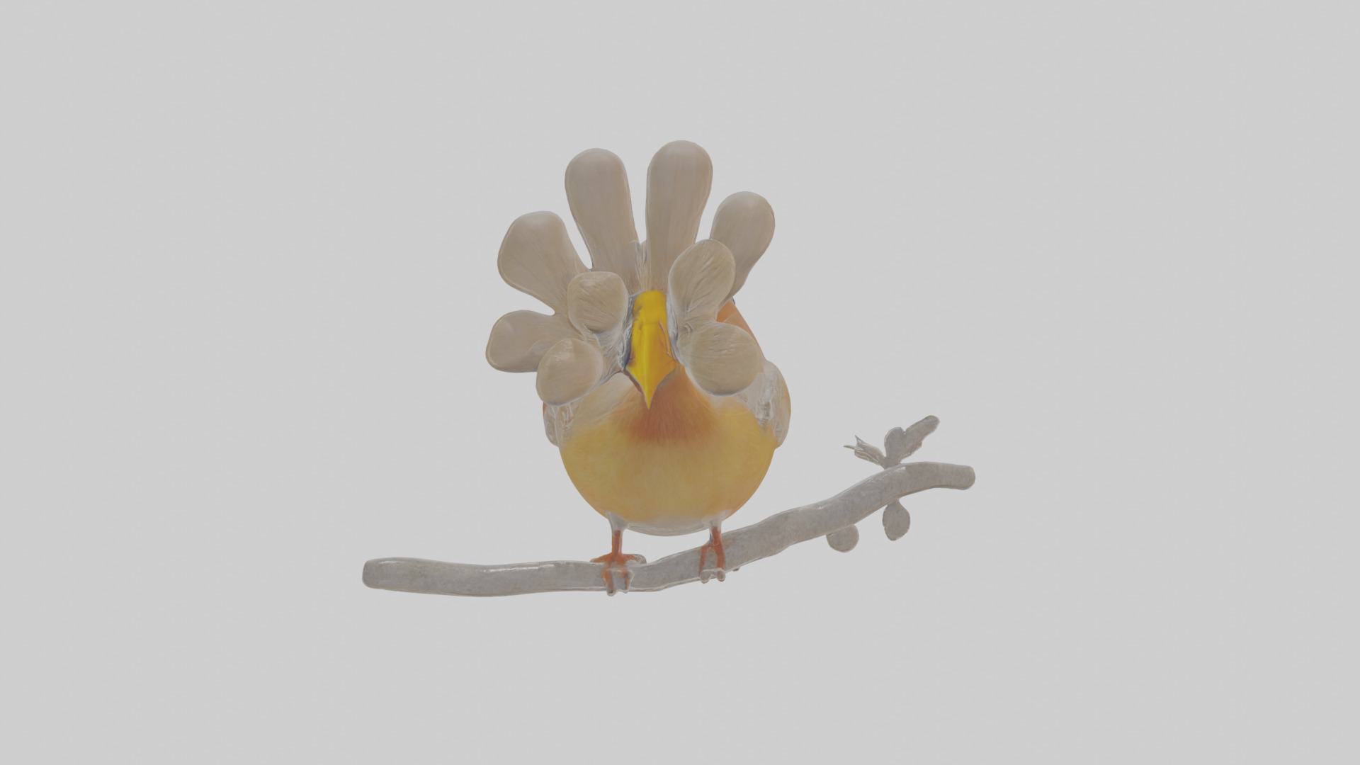 Cartoon Laughingthrush Low-poly 3D model_1