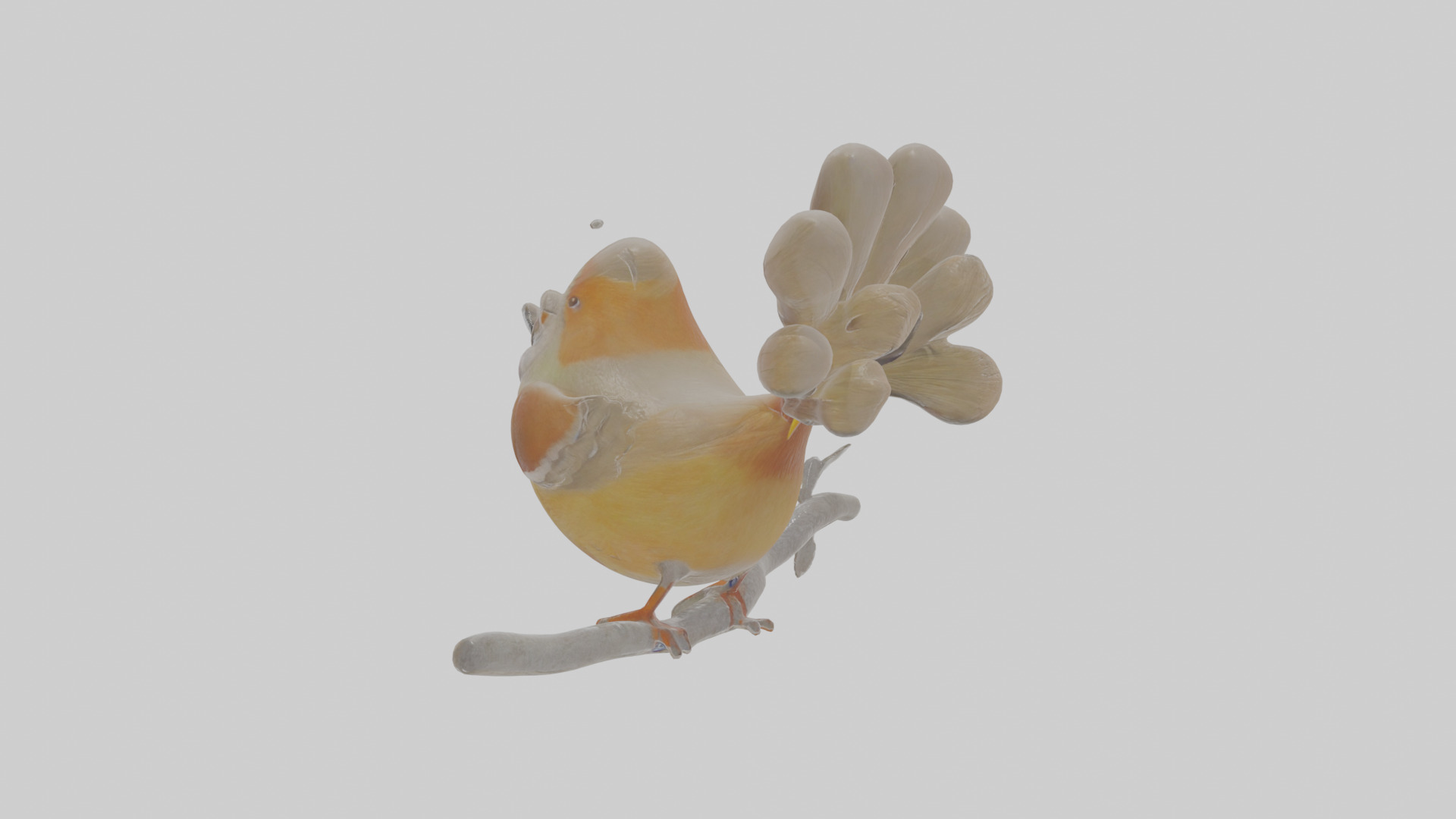 Cartoon Laughingthrush Low-poly 3D model_3