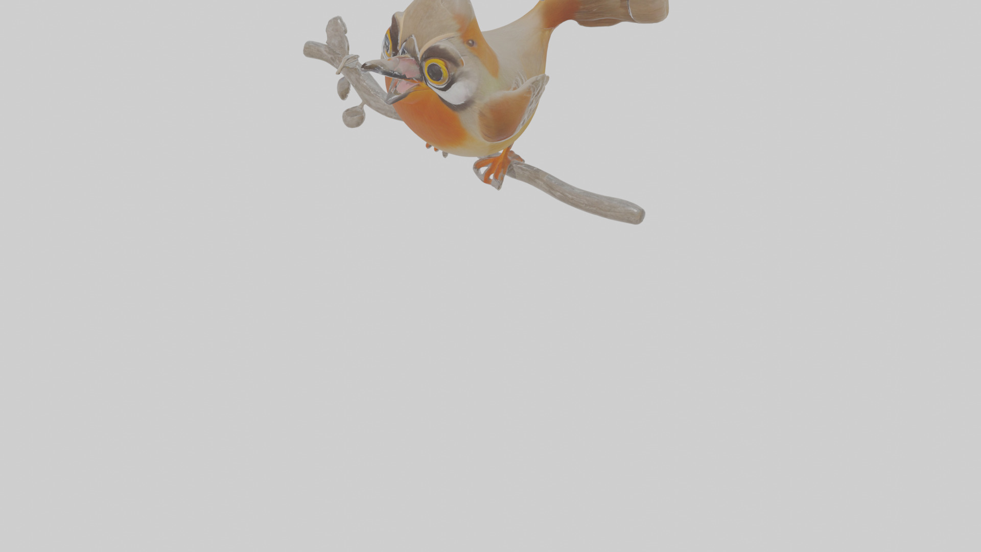Cartoon Laughingthrush Low-poly 3D model_9