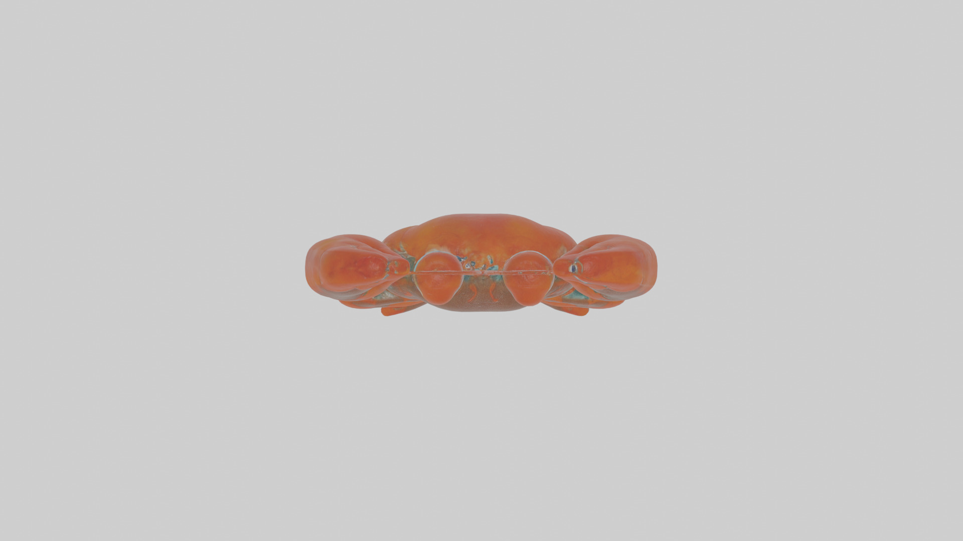 Cartoon Lobster Low-poly 3D model_21