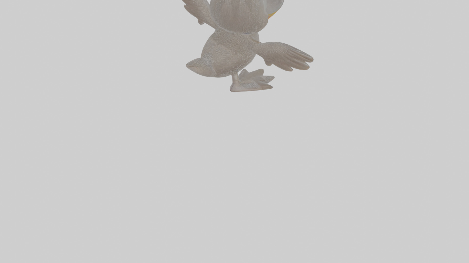 Cartoon Loon Low-poly 3D model_8