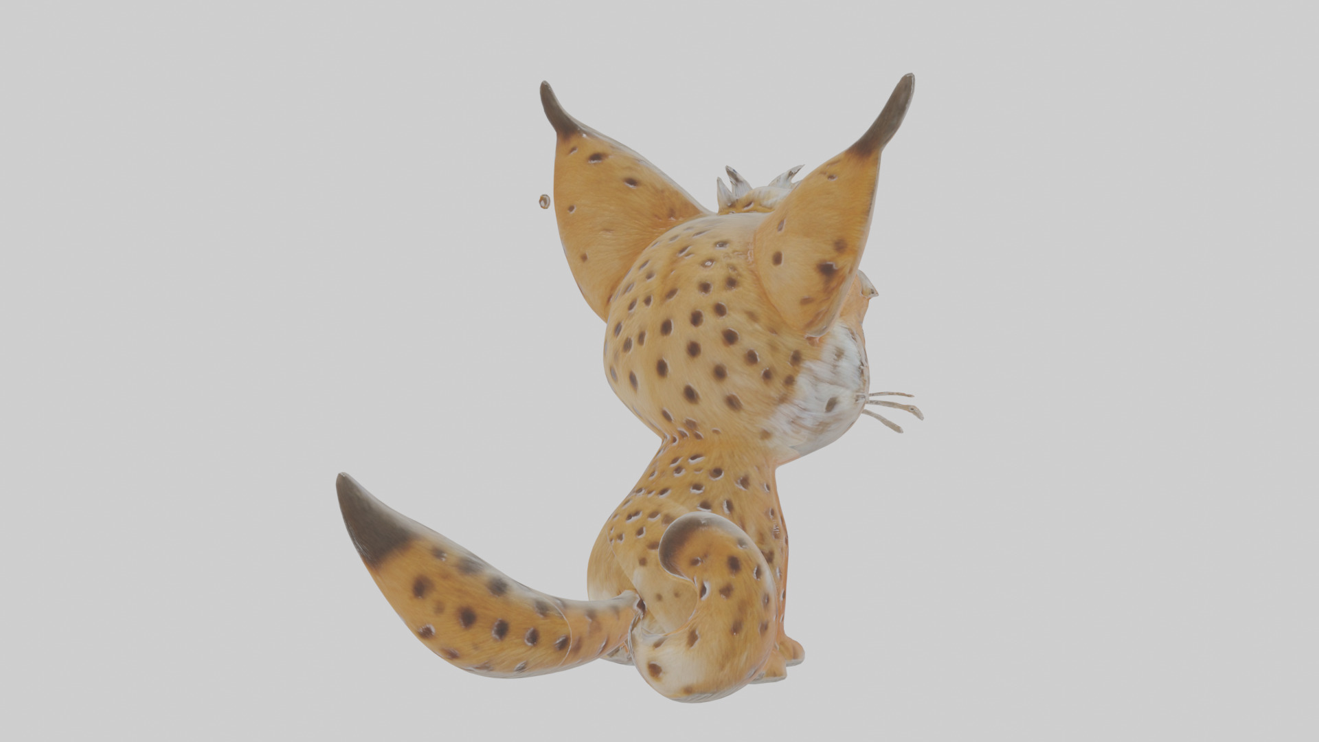 Cartoon Lynx Low-poly 3D model_2