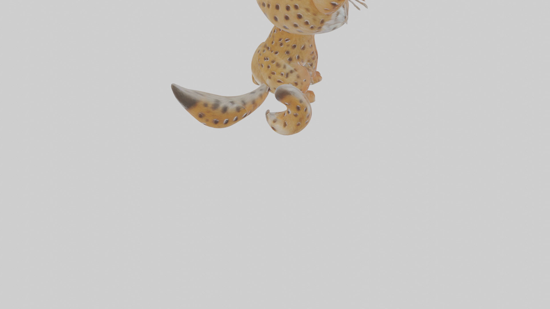 Cartoon Lynx Low-poly 3D model_6