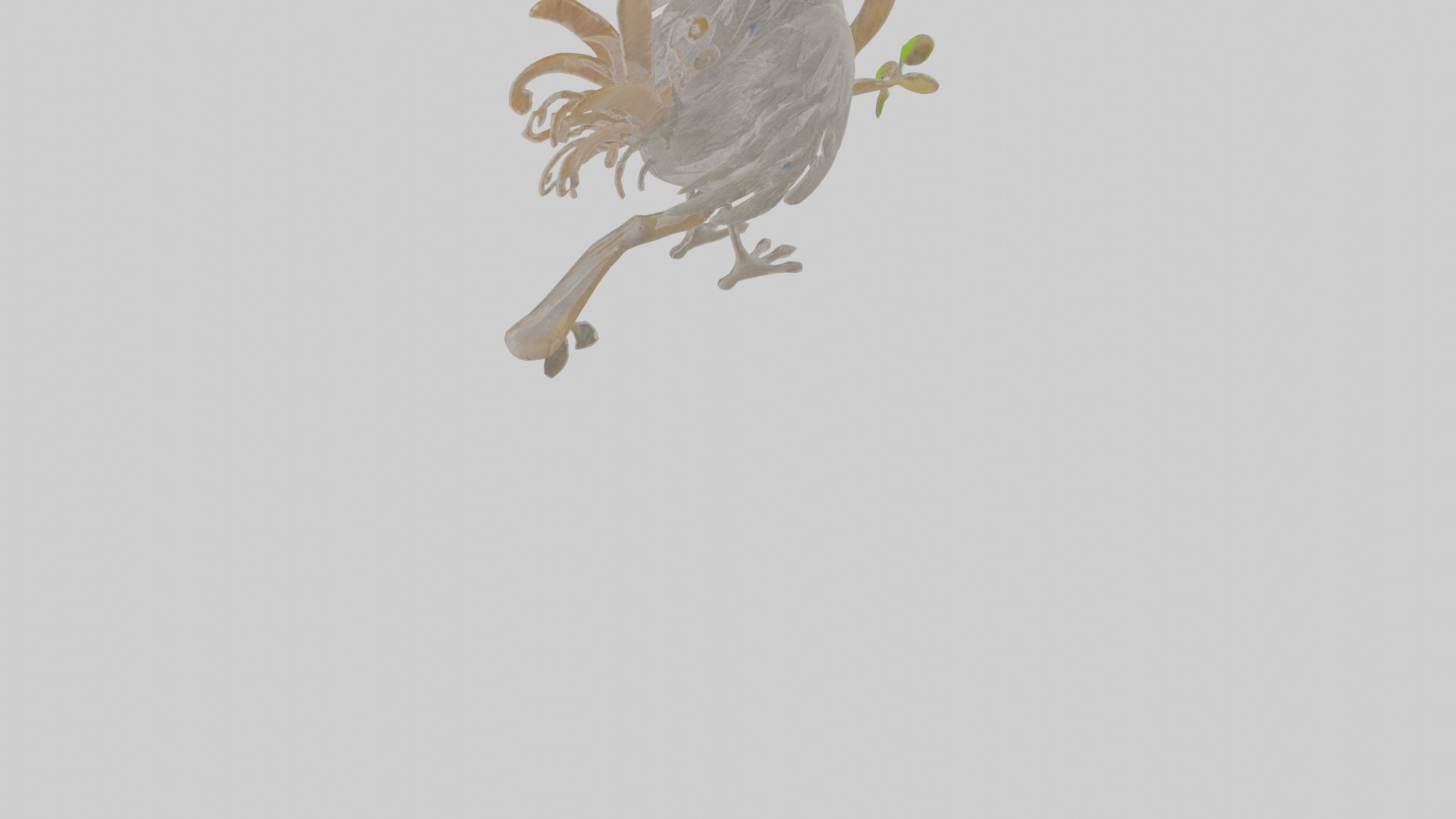 Cartoon Lyrebird Low-poly 3D model_7