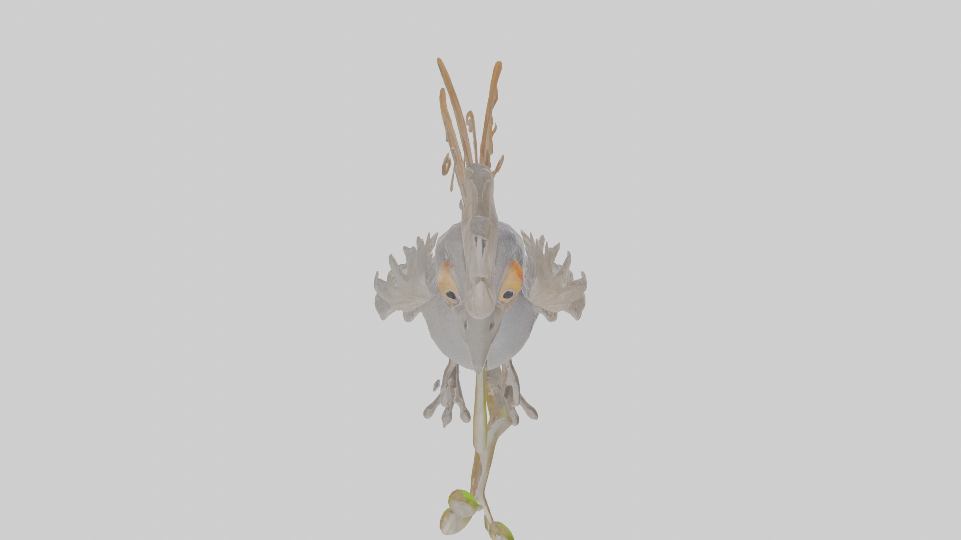 Cartoon Lyrebird Low-poly 3D model_25