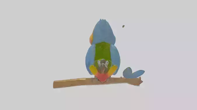 Cartoon Macaw