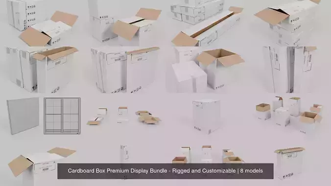 Cardboard Box Premium Display Bundle - Rigged and Customizable