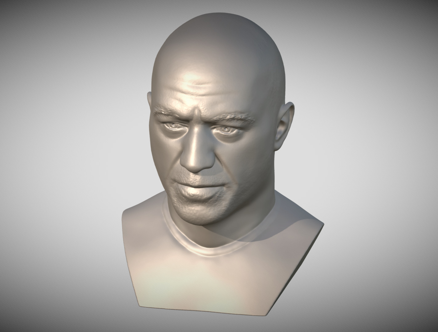 Joe Rogan bust 3D print model_11