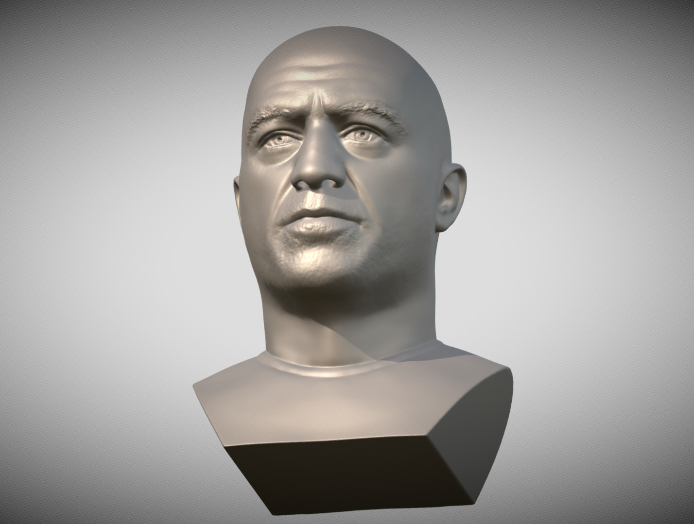 Joe Rogan bust 3D print model_13