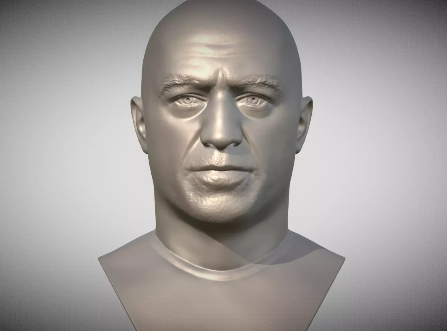 Joe Rogan bust 3D print model_0