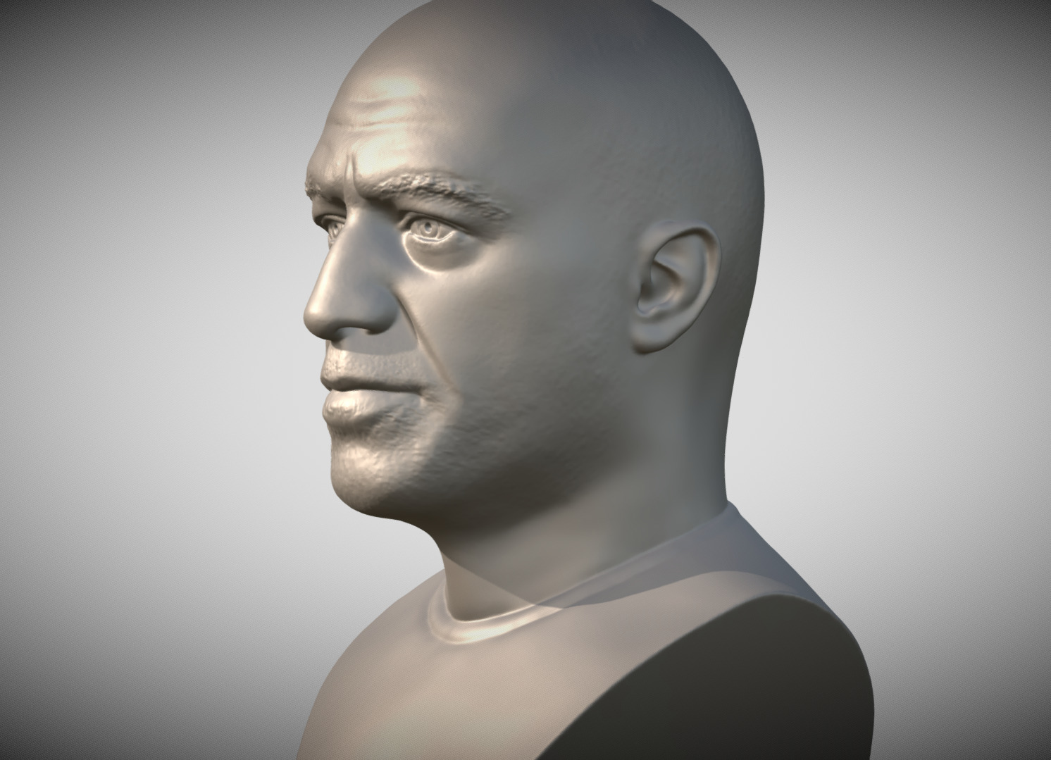 Joe Rogan bust 3D print model_2