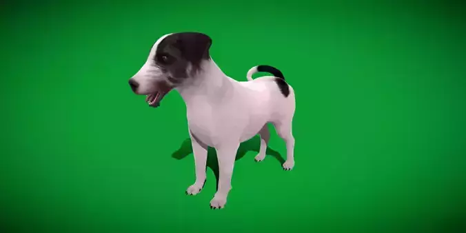 Sweet Jack Russell Terrier Dog Low-poly 3D model
