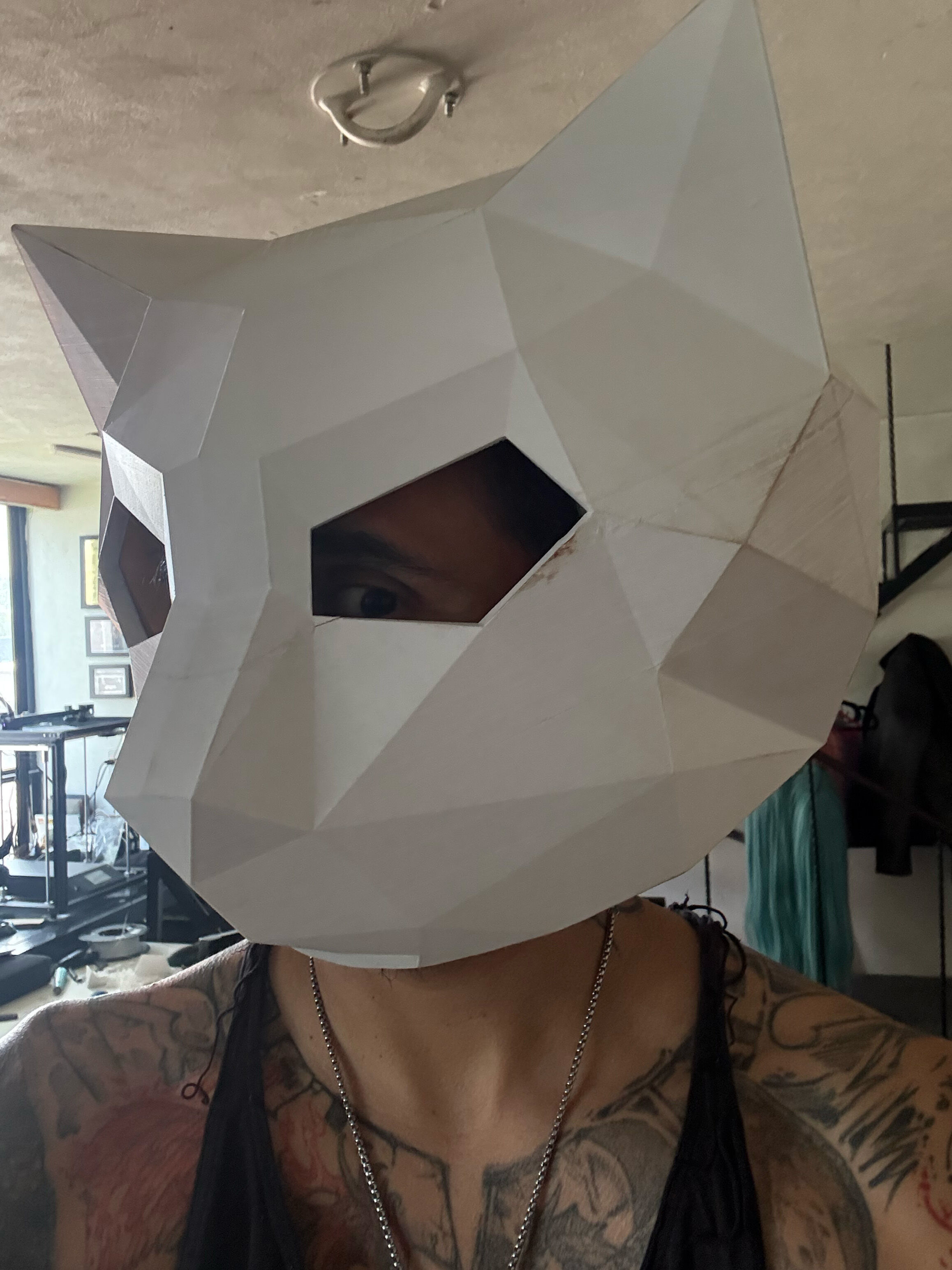 Cat Helmet Lowpoly 3D print model_1
