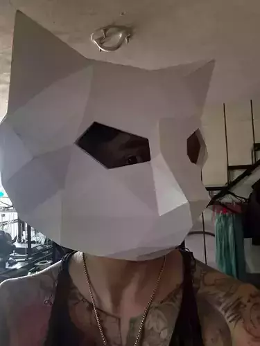 Cat Helmet Lowpoly