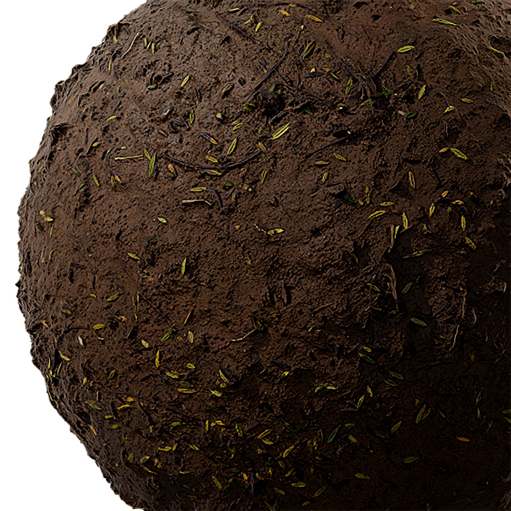Soil Seamless Texture 2K - EXR 5 - JPG 5 Texture  Texture_2