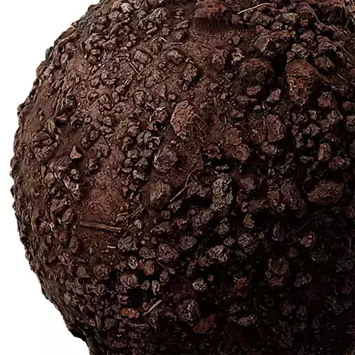 Soil Seamless Texture 2K - EXR 5 - JPG 5 Texture 