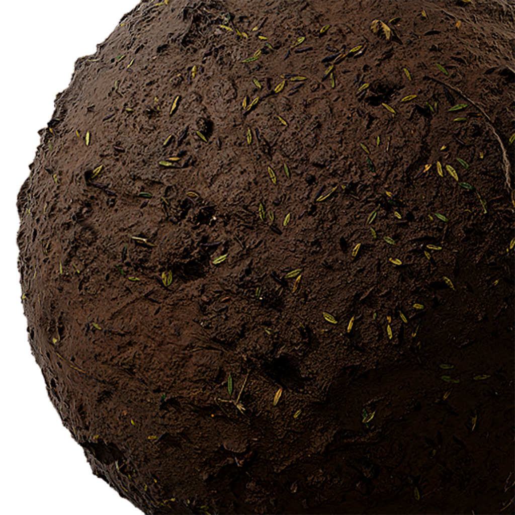 Soil Seamless Texture 2K - EXR 5 - JPG 5 Texture  Texture_1