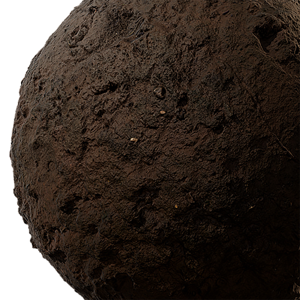 Soil Seamless Texture 2K - EXR 5 - JPG 5 Texture  Texture_4