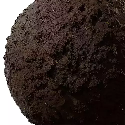 Soil Seamless Texture 2K - EXR 5 - JPG 5 Texture 