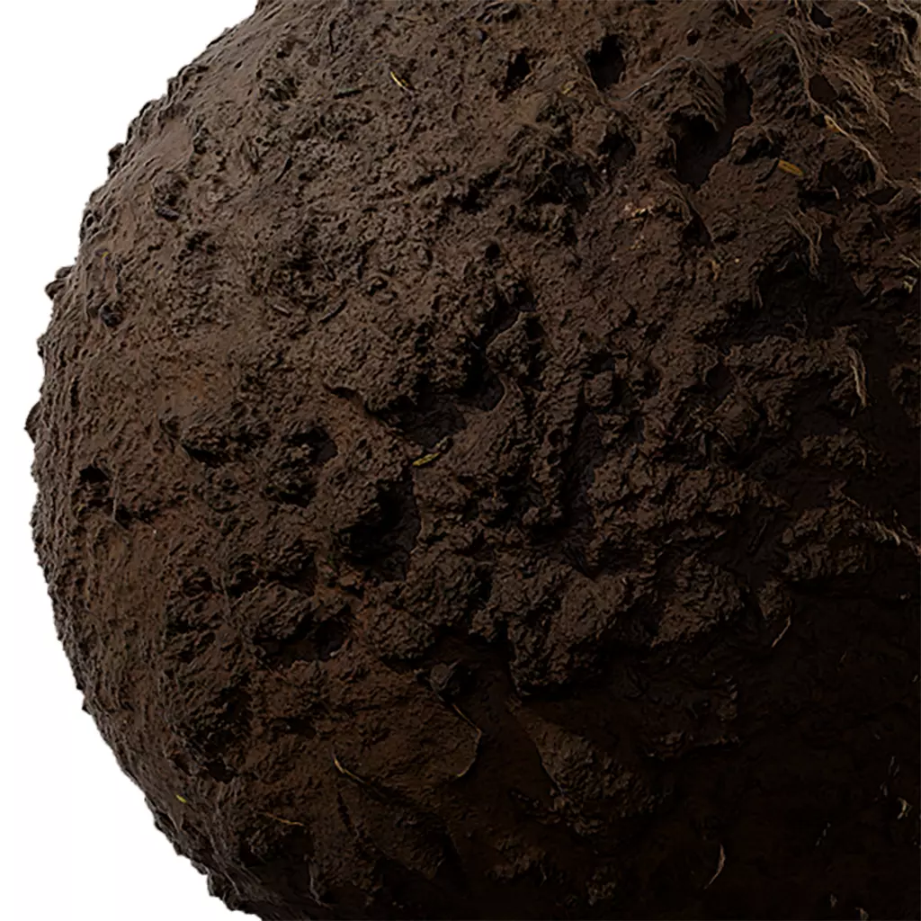Soil Seamless Texture 2K - EXR 5 - JPG 5 Texture  Texture_0