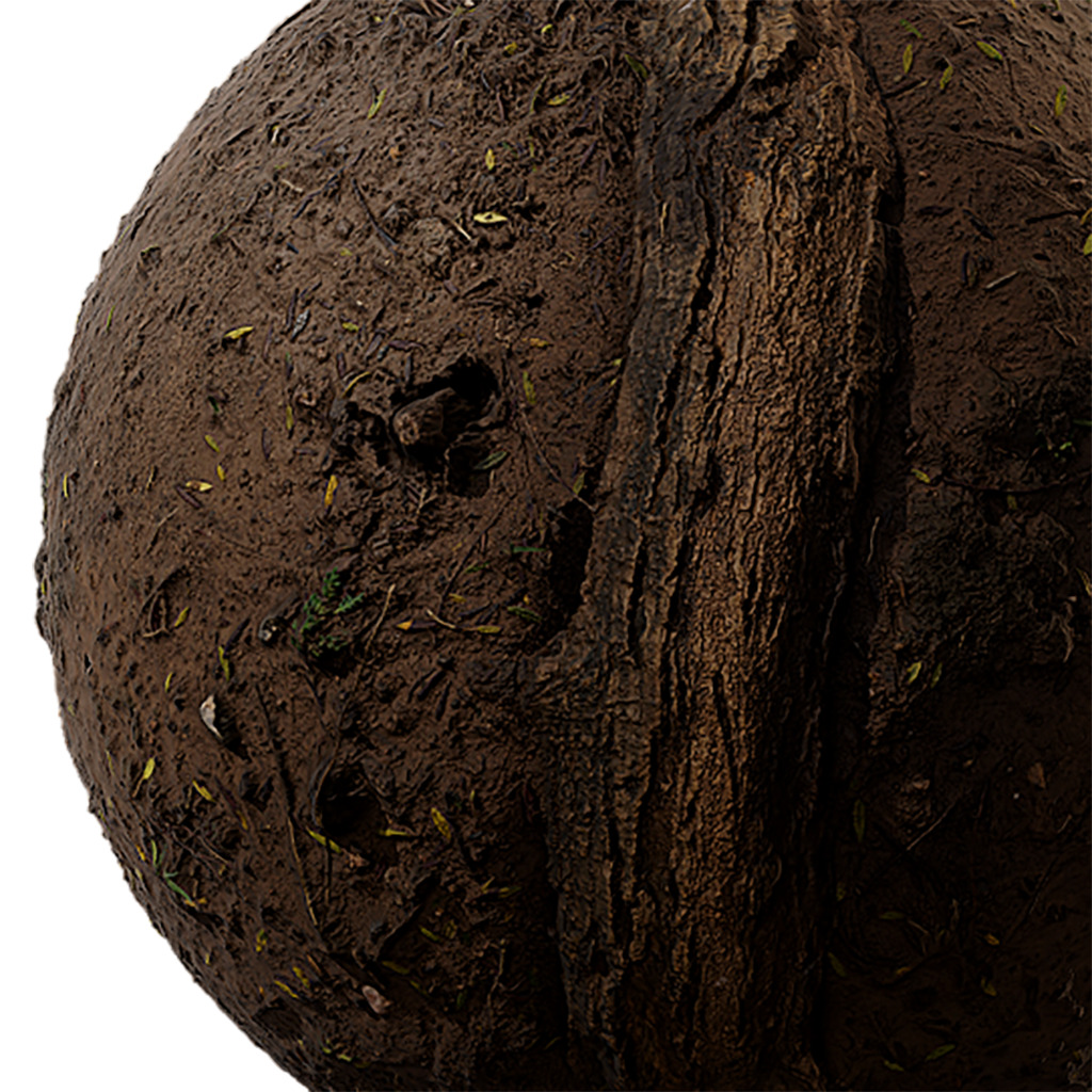 Soil Seamless Texture 2K - EXR 5 - JPG 5 Texture  Texture_1