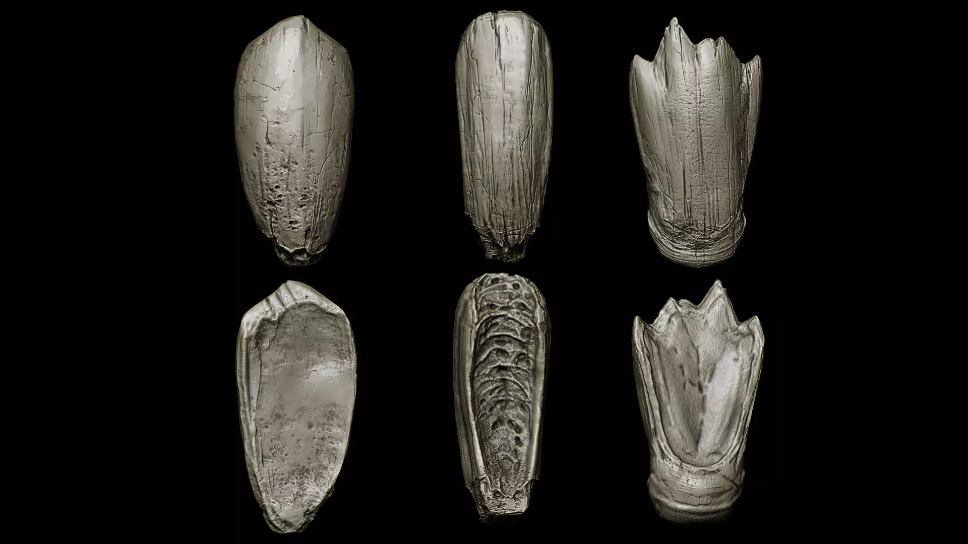 TEETH 2 Ultimate Teeth Pack 3D model_7