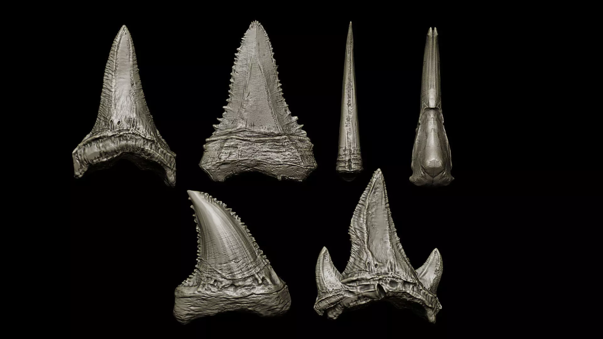 TEETH 2 Ultimate Teeth Pack 3D model_10