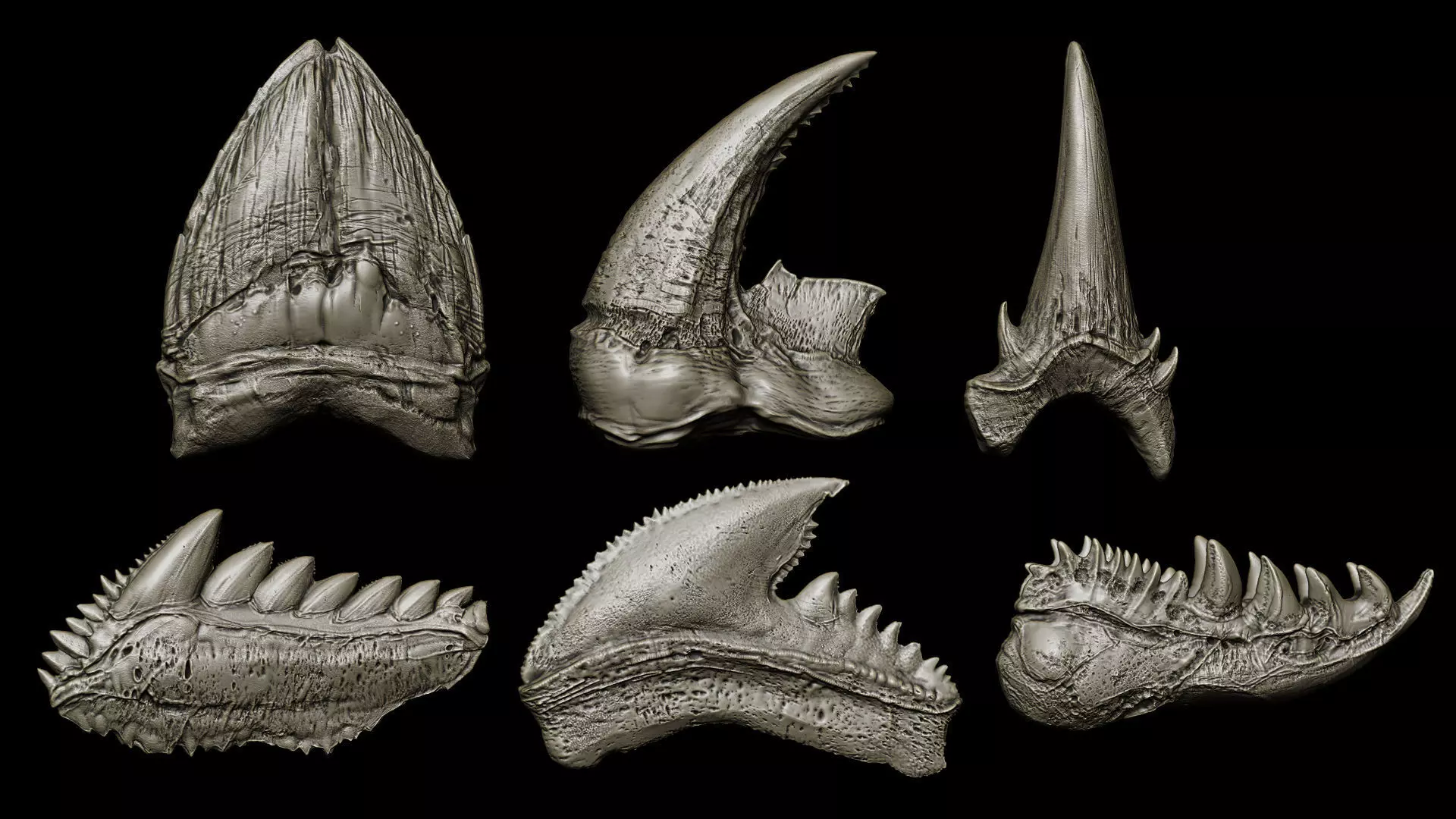 TEETH 2 Ultimate Teeth Pack 3D model_17