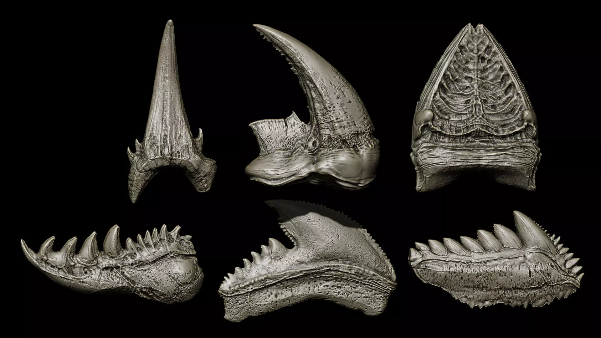 TEETH 2 Ultimate Teeth Pack 3D model_19