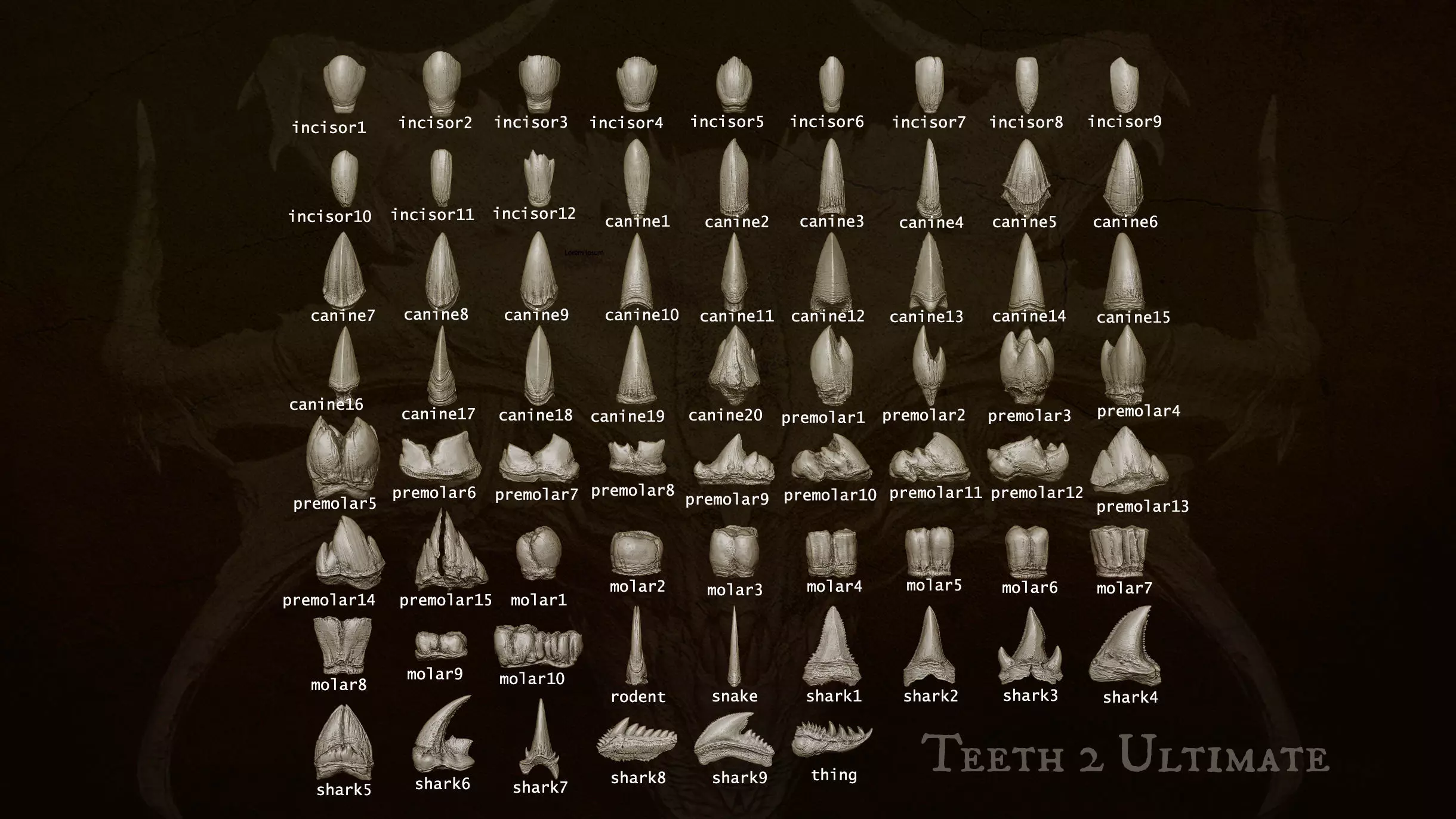 TEETH 2 Ultimate Teeth Pack 3D model_2