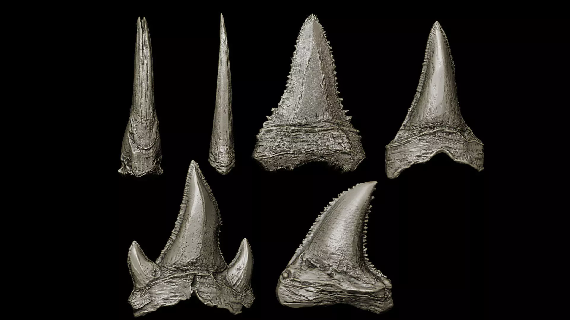 TEETH 2 Ultimate Teeth Pack 3D model_8