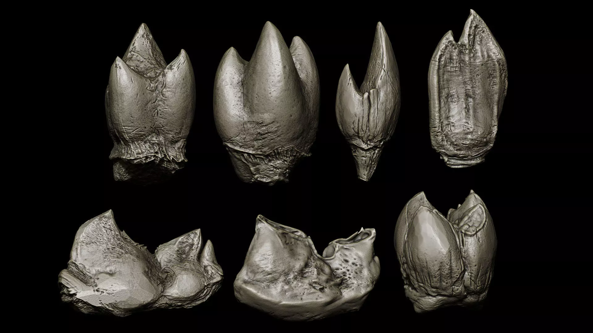 TEETH 2 Ultimate Teeth Pack 3D model_11