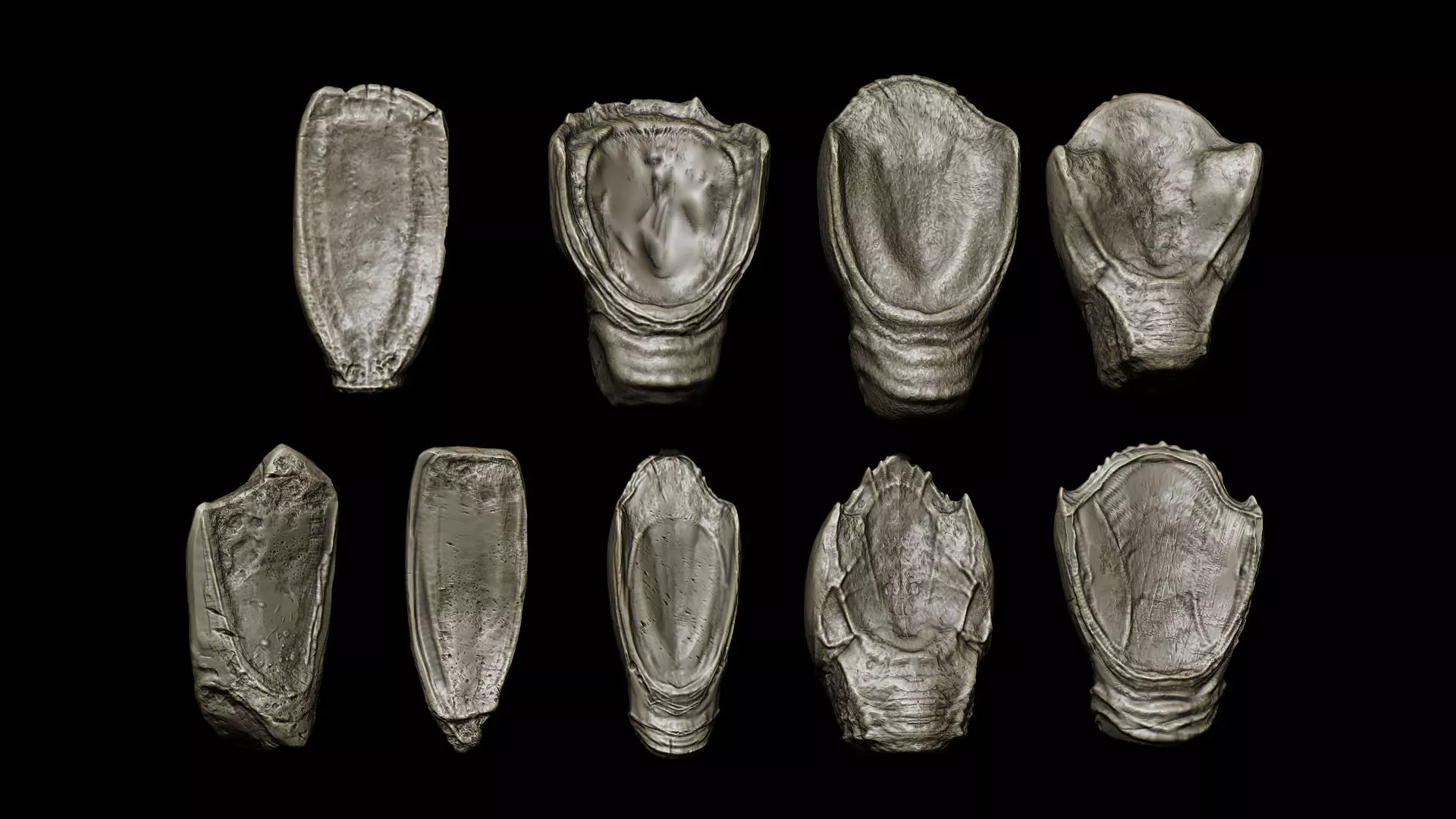 TEETH 2 Ultimate Teeth Pack 3D model_6