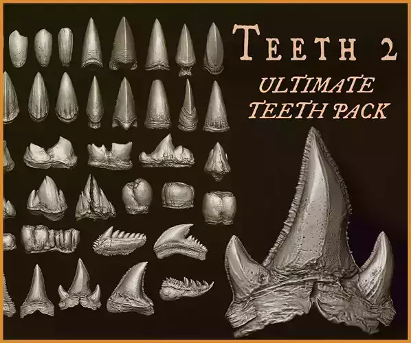 TEETH 2 Ultimate Teeth Pack 3D model