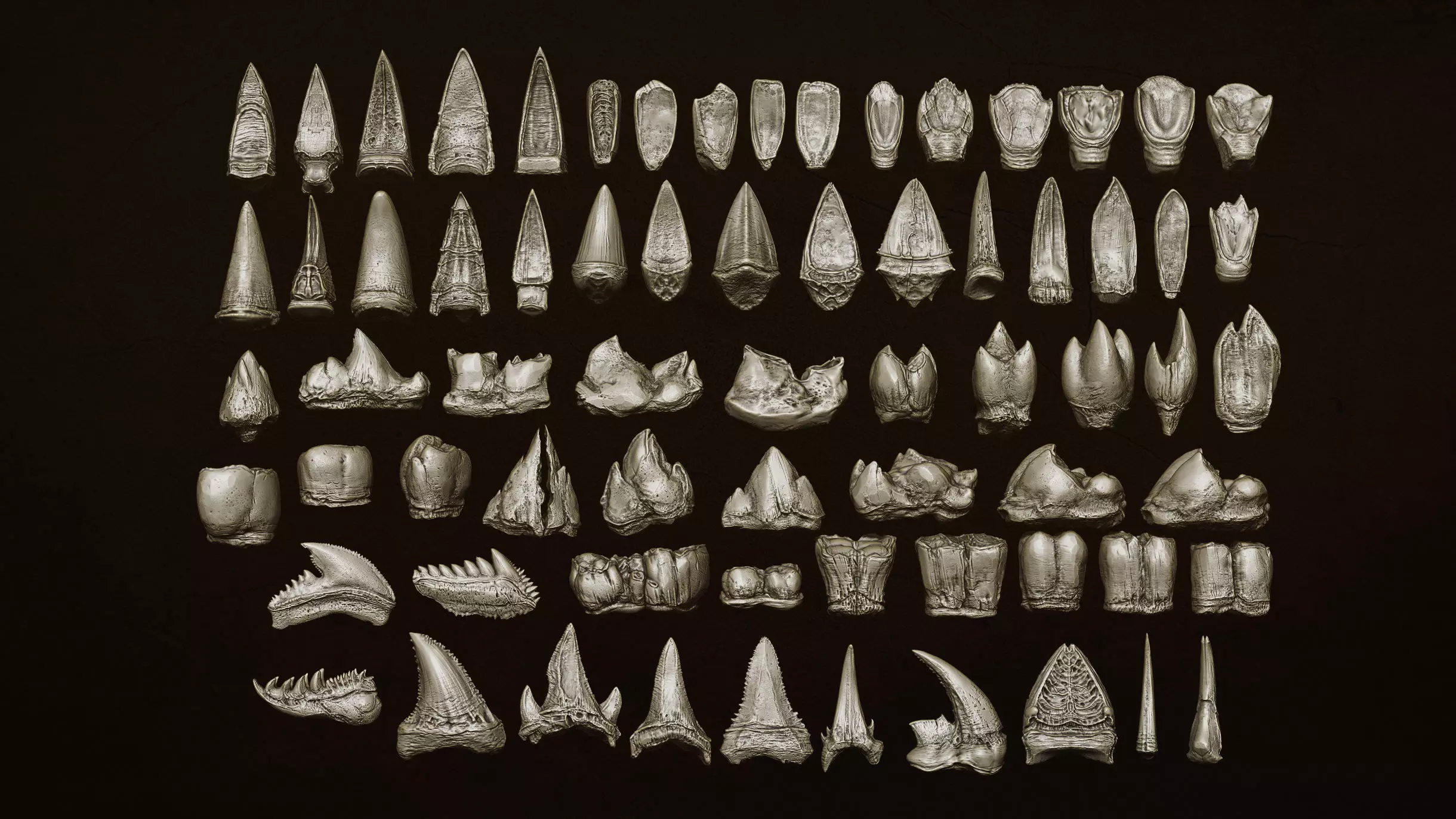 TEETH 2 Ultimate Teeth Pack 3D model_4