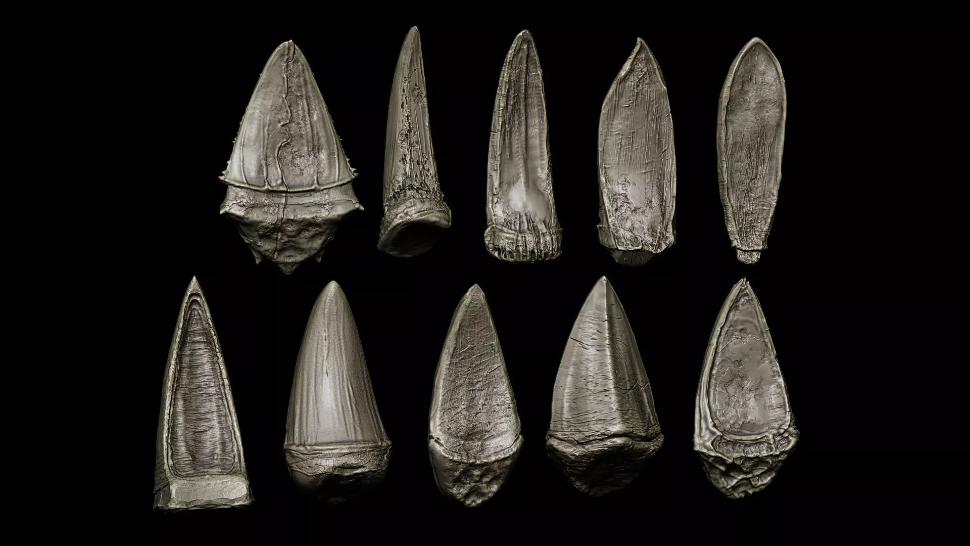 TEETH 2 Ultimate Teeth Pack 3D model_13