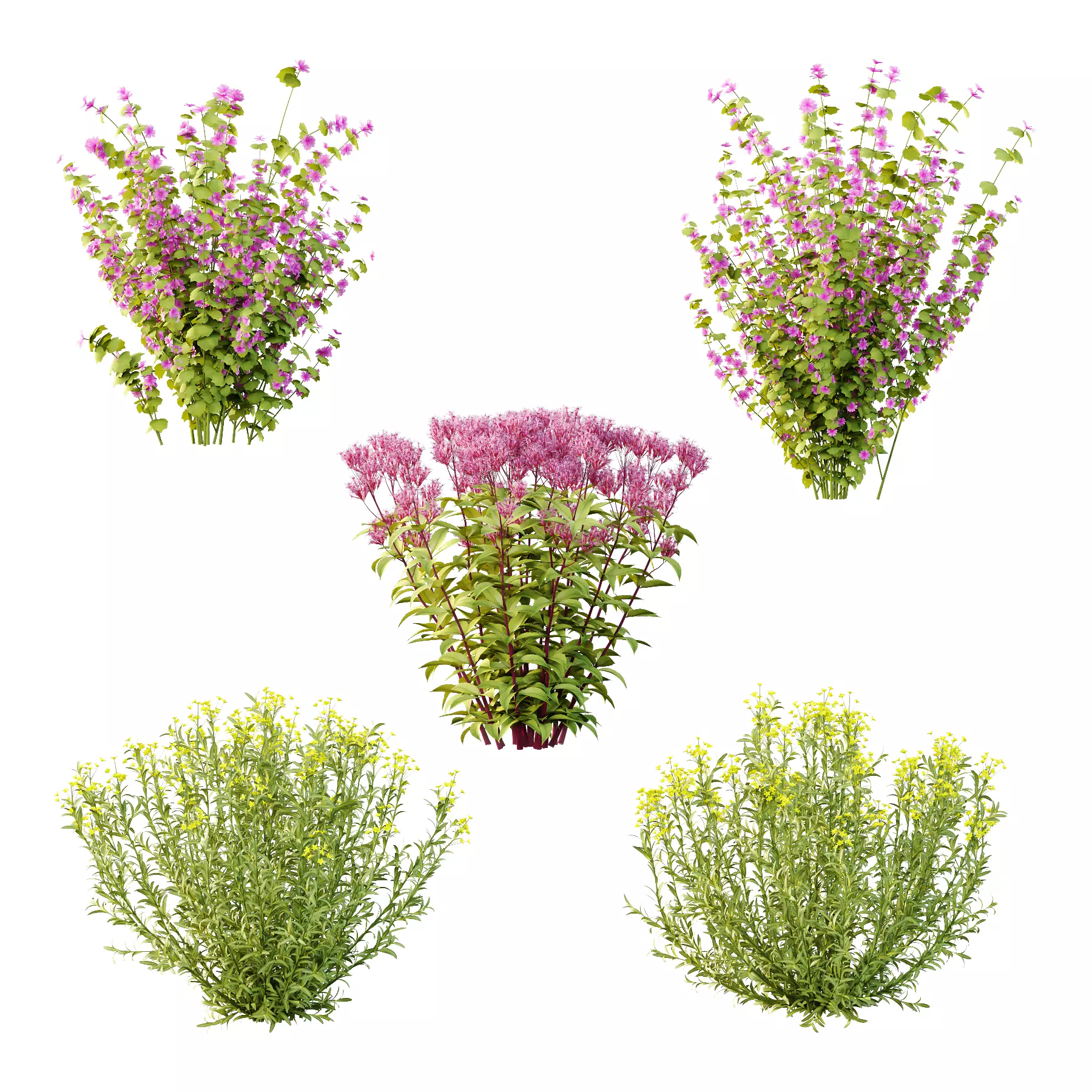 Different bush 16 3D model_0