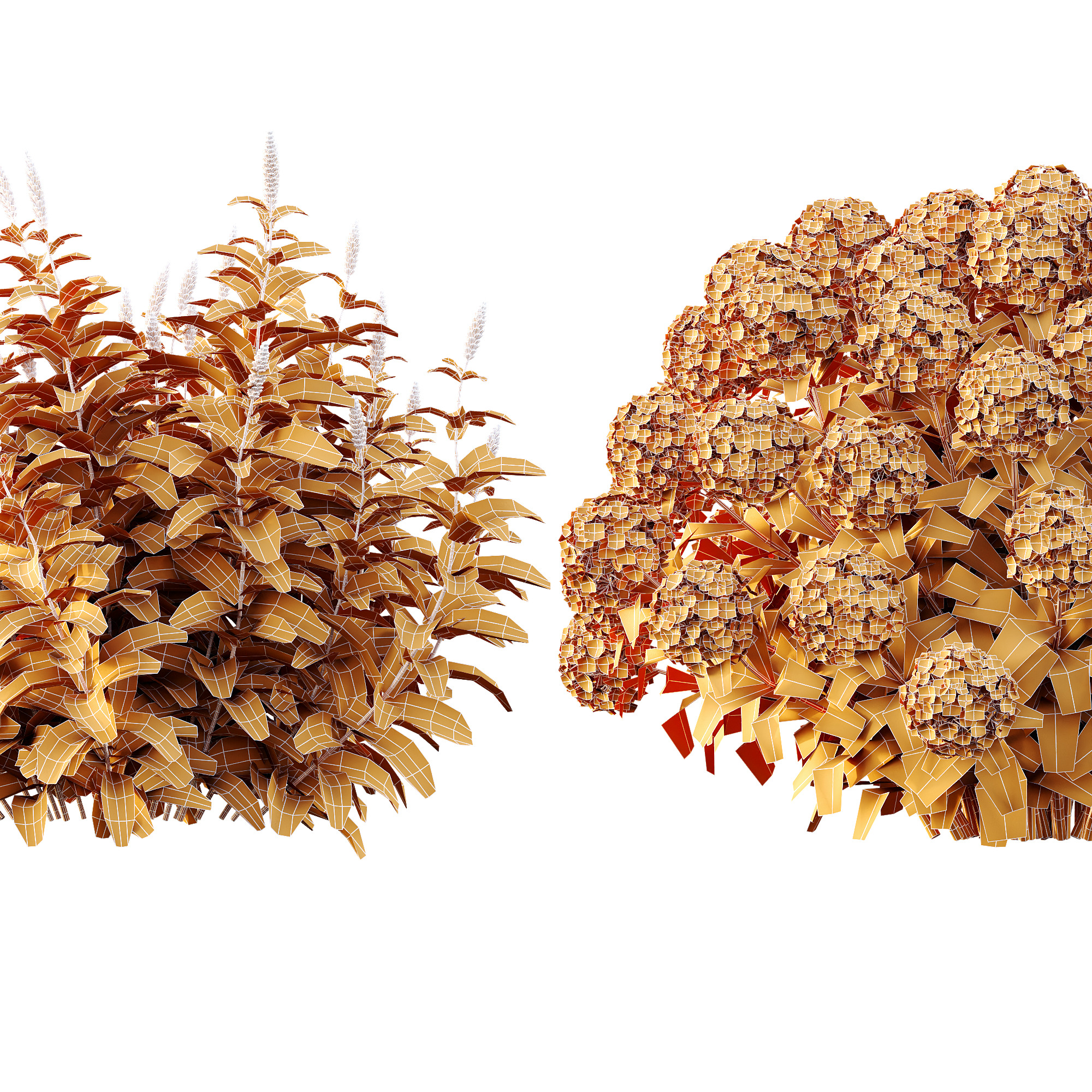 AV Colorful spring bushes Rhododendron and Malay Ginger 3D model_12