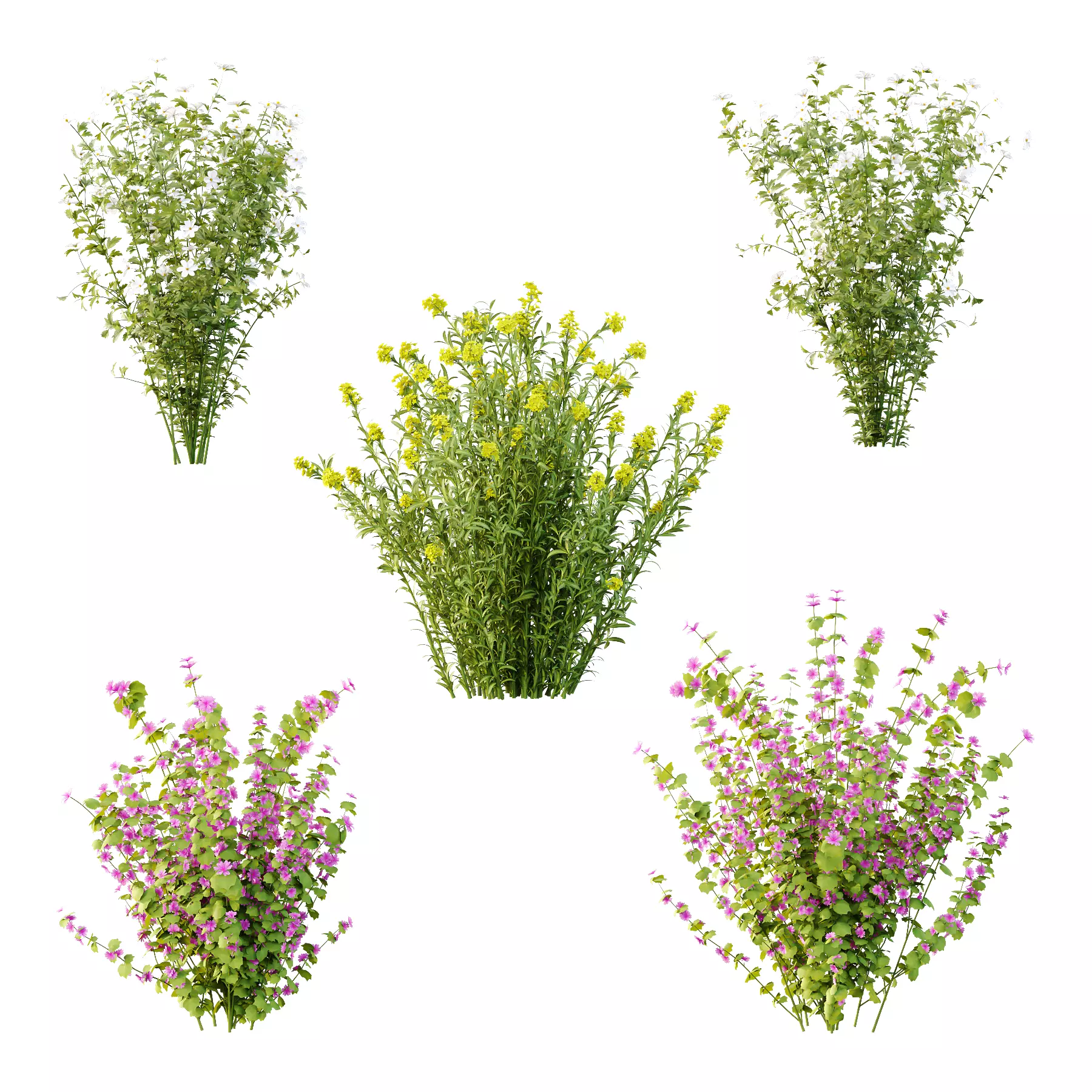 Different bush 17 3D model_0