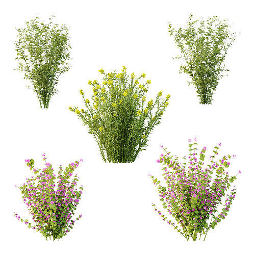 Different bush 17 3D model