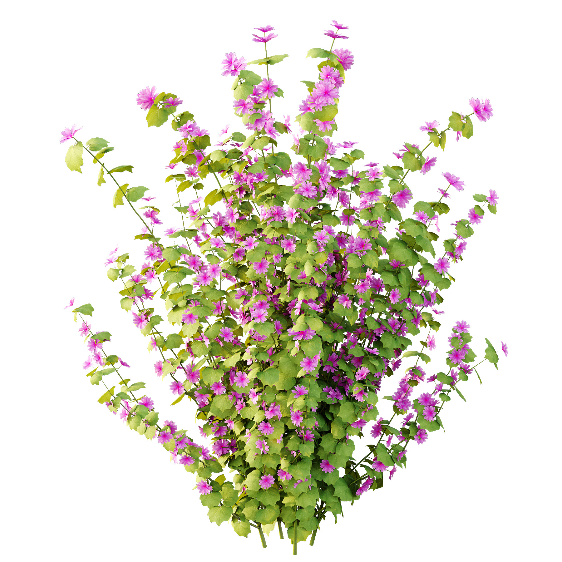 Different bush 17 3D model_2