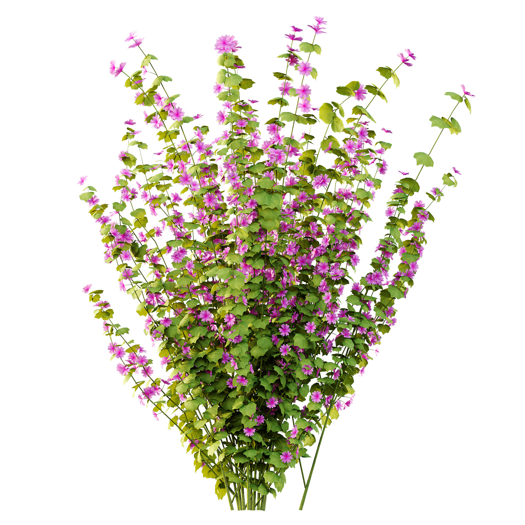 Different bush 17 3D model_1