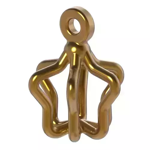 Exquisite Star Earring