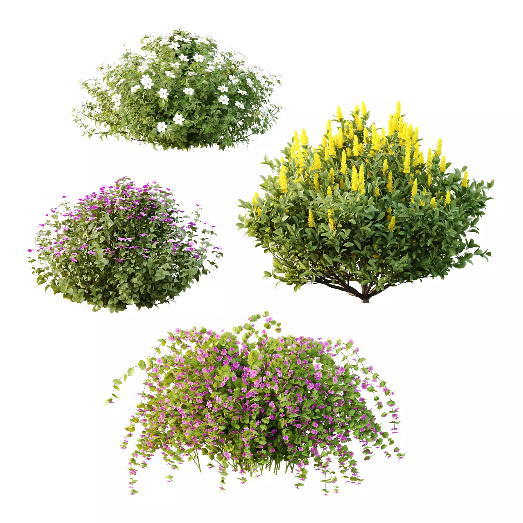 Different bush 18 3D model_0